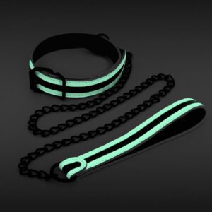 Glo Collar And Leash