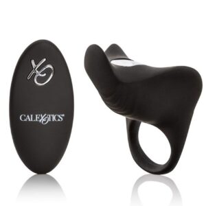 Recharge Remote Pleasurizer