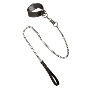 Collar With Chain Leash