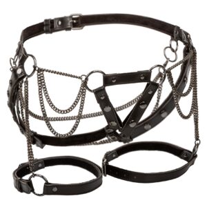 Harness With Chains Plus