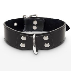 Elegant D-Ring Collar