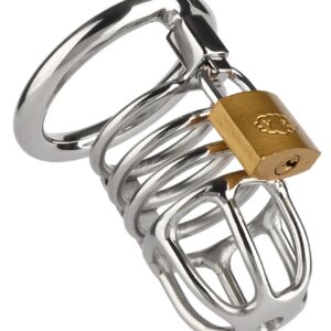 Master Chastity Cock Cage